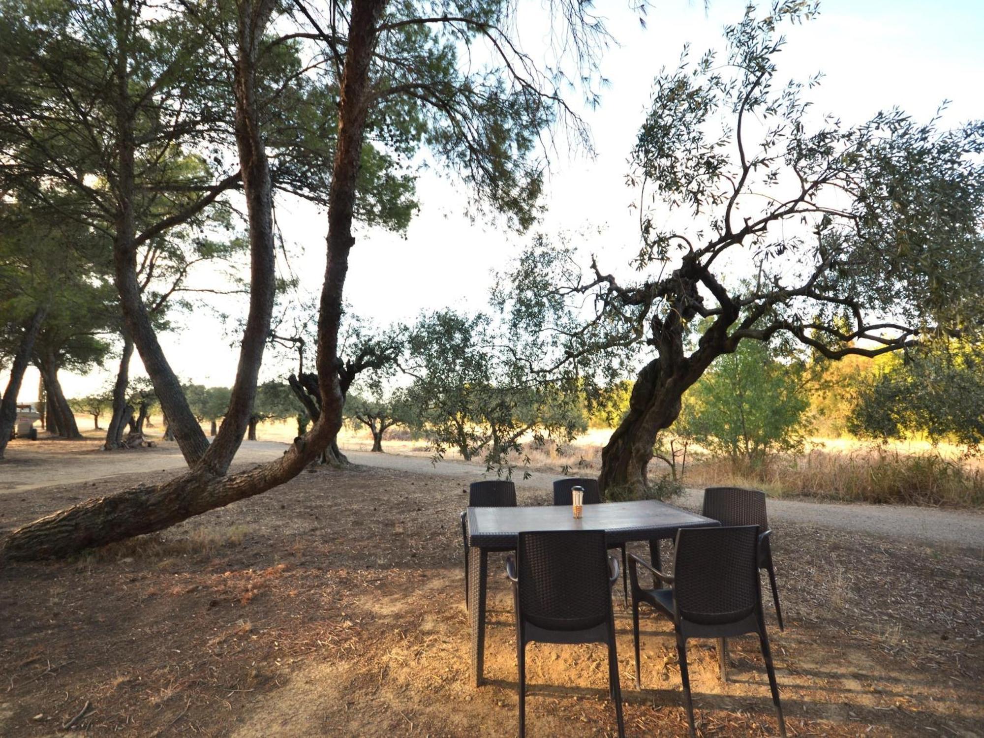 Apartment With Pool Amid Vineyards And Near The Beach Mèze Екстериор снимка